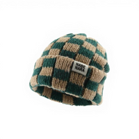 Women's Winter Hat Fleece Lined Chunky Knit Beanie
