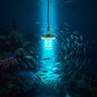 Underwater Fishing Light LED Fishing Light with 60 LEDs Lamp 12V/24V 24W for Night Fishermen
