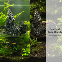 Natural Qinglong Stone for Aquarium Landscaping and Moss Terrariums