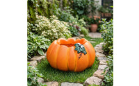 Pumpkin Planter Cute Pumpkin Flower Pot Rustic for Gardeners, Courtyard, Balcony