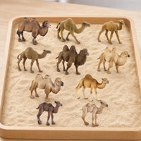 10 Pieces Camel Figurine Mini Figurine Collectible Miniature for Hobbyists, Collectors, Dioramas