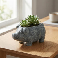 Piggy Planter Open Top Pig-Shaped Planter Small Plants