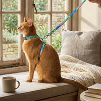 Adjustable Cat Harness and Leash Set, Escape Proof Nylon Vest Harness for Cats, H-Style Kitten Outdoor Gear, No Pull Small Pet Walking Supplies