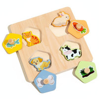 Fine Movement Skill Development Multicolor Shape Game Hand-Eye Coordination Shape Matching Toy Learn Through Play for Preschoolers