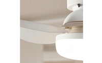 Screw-in Socket Fan Light Detachable Blades Ceiling Fan Light Wireless Controller Controlled 6-Blade for Bedroom, Dining Room