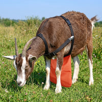 Anti-Breeding Apron Long-Lasting Breeding Control Apron Reliable Practical for Breeders, Farms, Pastures