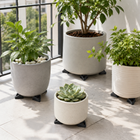 Pot Feet Black Plastic Stackable Drainage Root Rot Prevention For Houseplants Balcony Use
