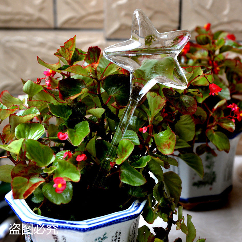 Lucky Star Self-Watering Planter for Indoor Plants