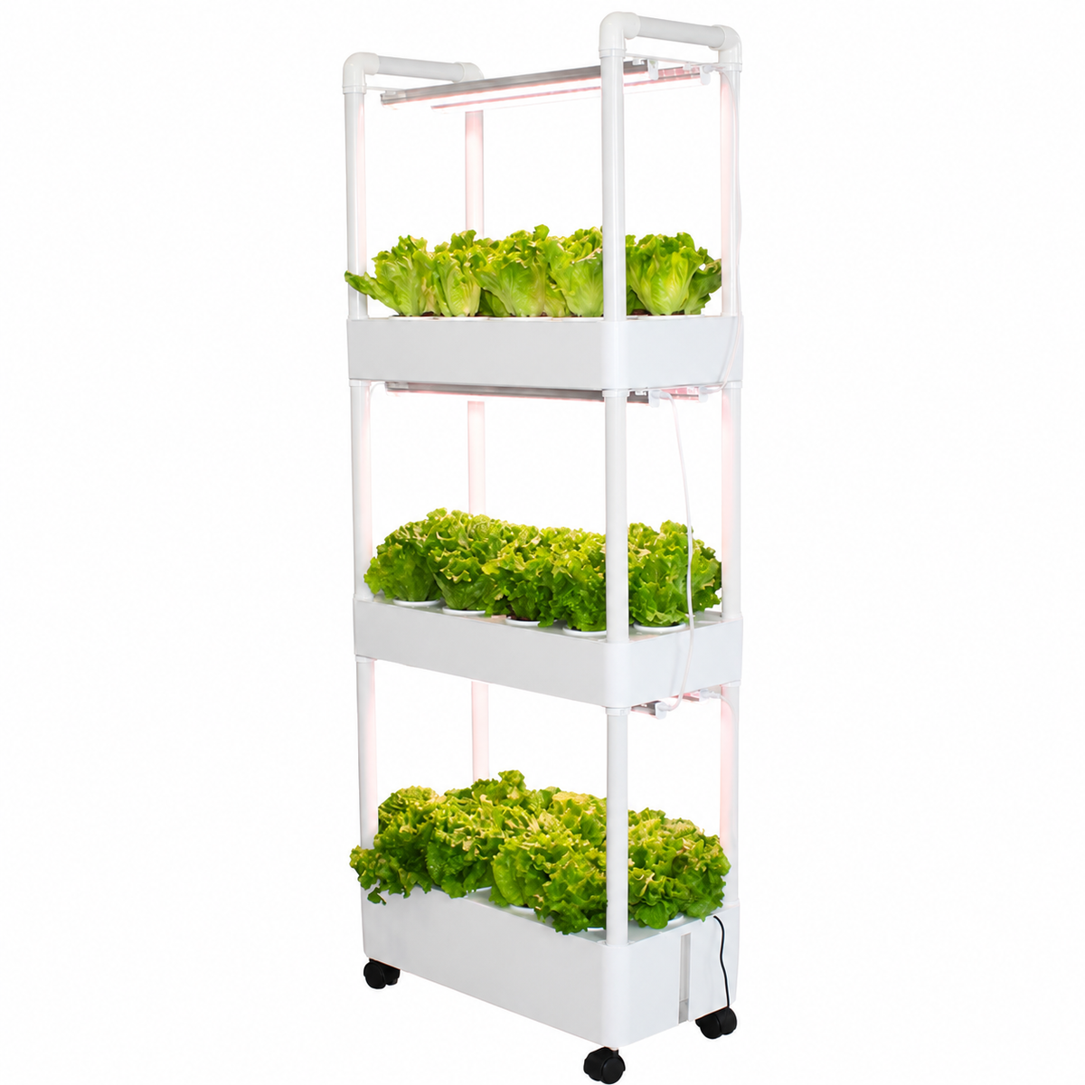 Hydroponic plant growing system, 3-layer, with water circulation, floor-standing, white