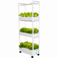 Hydroponic plant growing system, 3-layer, with water circulation, floor-standing, white