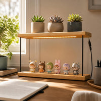 Wooden Succulent Plant Stand with Full Spectrum Grow Light for Indoor Desktop Display