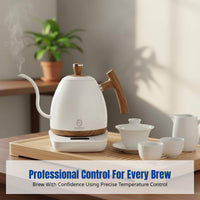 Temperature Control Gooseneck Kettle, Stainless Steel, Adjustable Thermostat, Electric Smart Kettle for Coffee and Tea