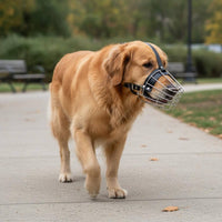 Adjustable Metal Muzzle Breathable Mouth Guard Allows Panting for Training