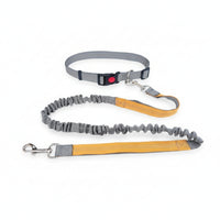 Elastic Leash and Collar Combo Flexible Adjustable Collar Leash Set Metal D-Loop Pet Gear Snap Hook for Walking, Control