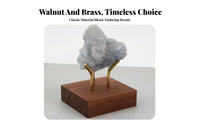Walnut Wood Crystal Ball Stand Gold Metal Sample Display Stand Rectangular Base Decor Accessory Compact