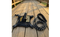 Cat Harness with Leash Adjustable Cat Harness and Leash Set Breathable Padded for Cats, Outdoor Walks, Travel