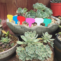 Waterproof T-Type PVC Plant Labels for Gardening, 400 Pcs