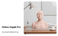 Multi-Function Massage Training Mannequin Reusable Acupoint Model Bust Long-Lasting for Students, Beginners