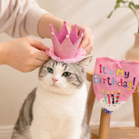 Dog Birthday Hat for Photo Shoot, Pet Costume Two-Piece Set, Letter Print Dog Birthday Bandana for Party, Fashionable Design