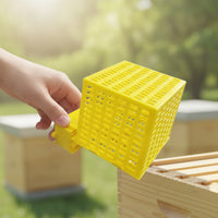 Queen Cage Ventilated Swarm Catcher Swarm Catcher Plastic Beekeeping Tools Rigid for Beekeepers