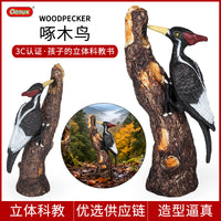 Solid Plastic Animal Model Toy - Eagle Bird Figures for Kids