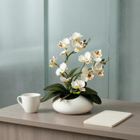 Phalaenopsis Tabletop Flowering Plant Decor 12-Blossom Flowering Plant Bonsai Photography Prop Film Material