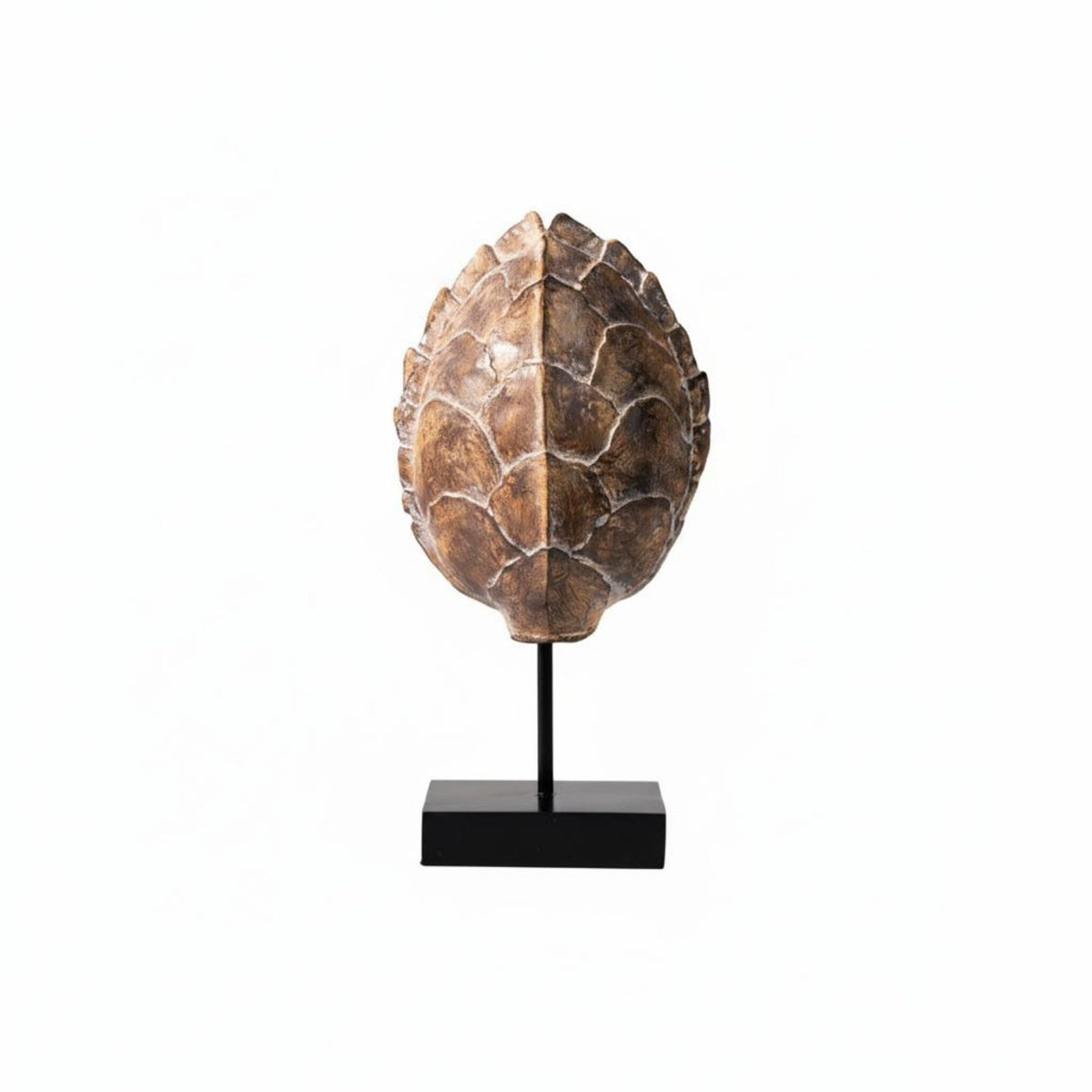 Retro Design Turtle Shell Sculpture Vintage Tortoise Shell Figurine Nature-Inspired Tortoise Miniature Textured Finish for Living Room, Entryway