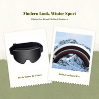 Magnetic Ski Goggles, Polarized, Anti-Fog, Adjustable, Youth