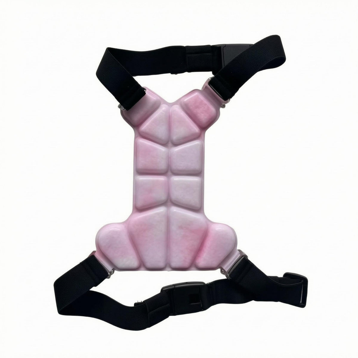 Pet Cooling Vest Harness Molded Segmented Cooling Vest Buckle Adjustable Pet Harness