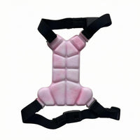 Pet Cooling Vest Harness Molded Segmented Cooling Vest Buckle Adjustable Pet Harness