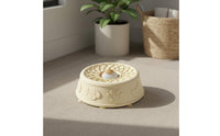 Anti-Choking Yogurt Licking Bowl Non-Slip Feline Lick Mat Bowl Mental Stimulation Silicone Slow Feeder Easy to Clean