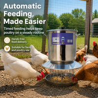 Automatic Cat Feeder for Two Cats, Timed Dry Food Automatic Cat Feeder with Stainless Steel Bowl, Dark Gray Automatic Pet Feeder