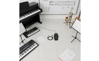 Fast Rebound Universal Sustain Pedal Non-Slip Design Digital Piano Foot Pedal Long-Lasting Construction Musical Instrument Accessory 6.5mm Standard Connector for Pianists, Music Producers, Home Practice, Stage Performance, Studio Recording