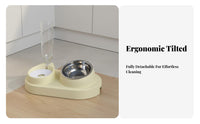 16° Tilted Design Double Bowl Pet Station Easy to Clean Elevated Cat Food and Water Bowl Leak-Proof for Cats, Dogs, Home, Kitchen, Vacation