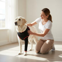 Anti-Rub Dog Elbow Protector Warm Dog Joint Protection Sleeve Adjustable Fit Pet Elbow Wrap Scratch Prevention for Large Dogs