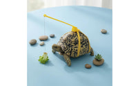 Turtle Harness and Leash Hanging Tether Turtle Walking Leash Yellow Reptile Walking Harness for Exercise