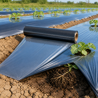 Silver-Black Agricultural Mulch Film for Watermelon Cultivation - Thickened, Insulating, Reflective, Weed Control