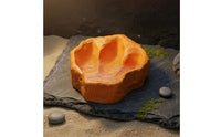 Dinosaur Footprint Bowl Decorative Landscaping Piece Tyrannosaurus Footprint Feeding Bowl Pet Food and Water Dish Non-Porous