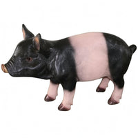 Realistic Resin Pig Statue Three-Dimensional Pig Statue Solid Animal Figurine Molded Details for Yard, Park, Window Display