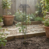 Tall Fungus Top Trellis Cross Braces Metal Climbing Trellis Tapered Frame Garden Structure Decorative Design for Courtyard