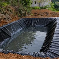 Waterproof Canvas Tarp, Heavy-Duty Waterproof Sheet, 10m Thick Blue Sheet, for Garden, Pond