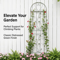 Iron Garden Trellis 60cm, Plant Support for Climbing Plants, Trellis for Roses, Vines & Cottage Gardens
