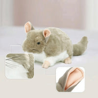 Chinchilla Stuffed Toy Soft Chinchilla Stuffed Animal Stuffed Toy with Tail Furry Cuddly for Children, Desk Decoration