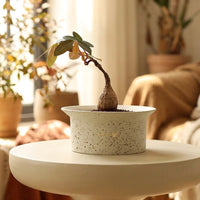 Plant Pots for Indoor Plants and House Plant Decor, Rough Textured Ceramic Pots for Home Office, Handmade Bonsai Pot with Drainage Hole, 1 Pack