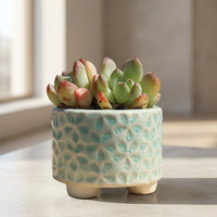 Indoor Plant Pot for Outdoor Plants and Home Office, Small Plant Pot for a Mini Succulent, Semi-Handmade Ceramic Planter with a Footed Base