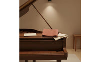 Pure Wool Grand Piano Sheet Rack Cover Gold Velvet Piano Music Stand Felt Anti Wear Self-Adhesive Felt Strip Dustproof
