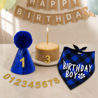 Pet Birthday Party Decoration Set with Hat, Bandana, and Numbers for Cats and Dogs