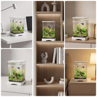 fishing Aquarium Transparent Desktop Aquatic Habitat Easy to Maintain Aquarium with Lid for Beginners, Office Workers