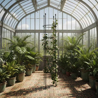 Plant Support Frame Sturdy Climbing Plant Trellis Garden Obelisk Weather-Resistant Tomato Support Sturdy for Gardeners