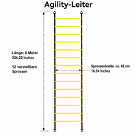 agility training equipment set